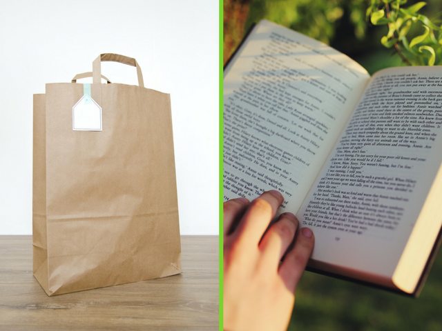 Bolsa de papel y un libro.
