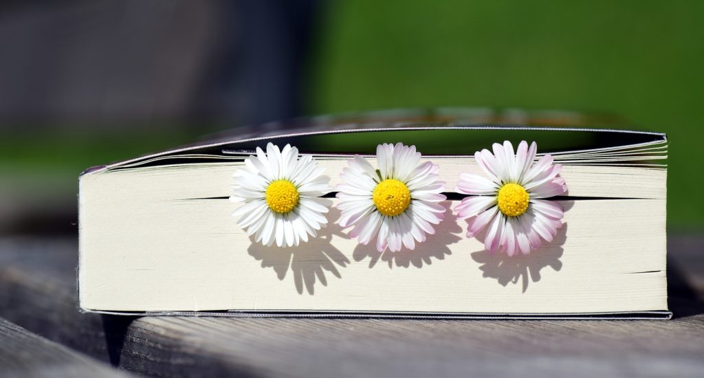 Libro con flores