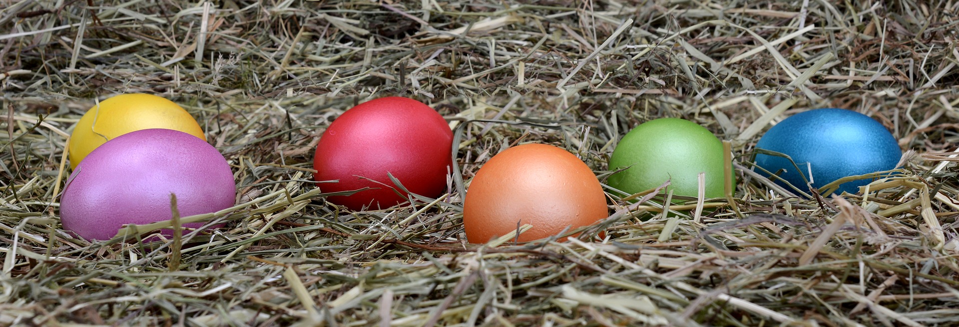 Huevos de Pascua coloridos sobre paja