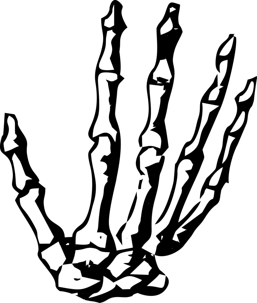 Black and white line art of a skeletal hand.